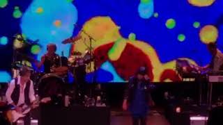 Manic Depression- Ann Wilson