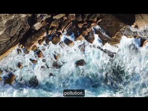 Our Hometown (Earth)