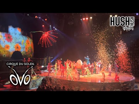 Cirque Du Soleil oVo Circus Highlights