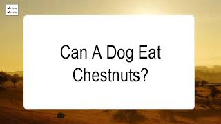 Can A Dog Eat Chestnuts