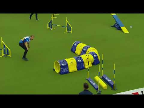 AWC 2018 Medium Team Agility