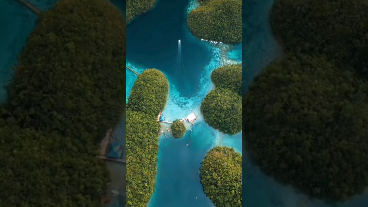 YouTube Short thumbnail