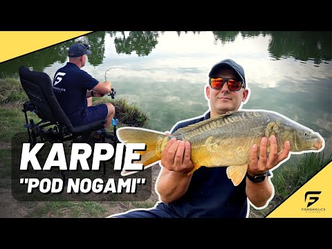 Karpie pod nogami. Brania, hole i urwane ryby.