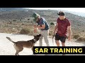Echo SAR Dogs Training Search And Rescue Dog Training SAR Training For Dogs