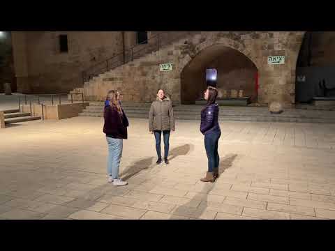 The Beatles - Because - Acapella