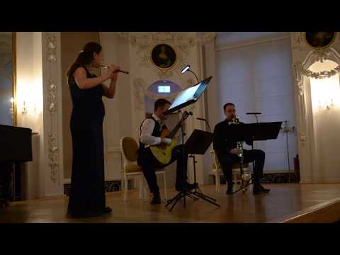 Edvard Grieg - Peer Gynt, Suite No 1- In the Hall of the Mountain King - SaitenWind Trio