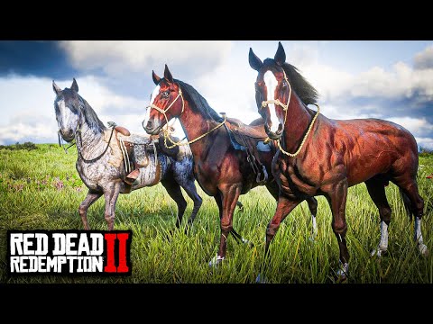 PURO SANGUE INGLÊS: BAIO RUBRO E O RARÍSSIMO RAJADO - RED DEAD REDEMPTION 2