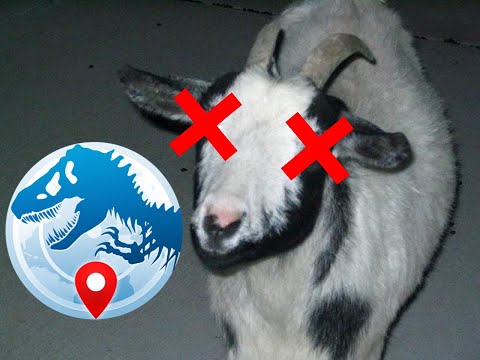 (Almost) Every Way to Kill a Goat Compilation | JWA