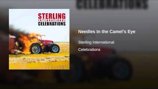 Needles In the Camel's Eye