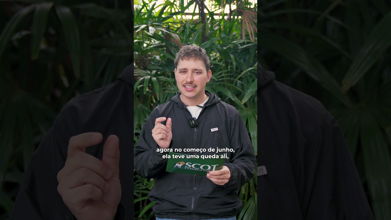 Farelo de soja favorável para o pecuarista