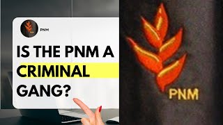 Download lagu Is THE PNM A CRIMINAL GANG? mp3