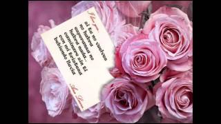 Sin Bandera - Si tu no vuelves