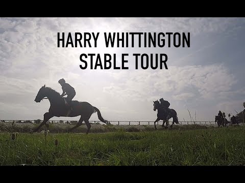 Harry Whittington Stable Tour