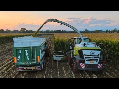Claas Jaguar 980 | Corn Silage | Agromeccanica Agliardi