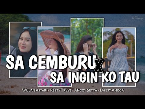 SA CEMBURU X SA INGIN KO TAU SLOW - DJ TOPENG REMIX