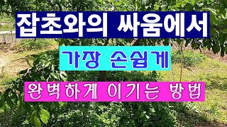 [텃밭농부 1,440]  잡초와의 싸움에서 손쉽고 완벽하게 제압하는 방법 #잡초제거