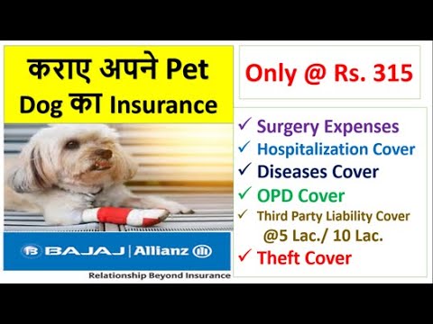 Insurance for your Pet Dog | Bajaj Allianz Launched Pet Dog Insurance at Low Premium | only @Rs. 315