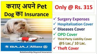 Insurance for your Pet Dog | Bajaj Allianz Launched Pet Dog Insurance at Low Premium | only @Rs. 315