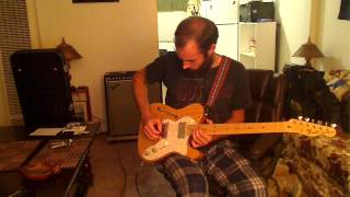 Roy Buchanan - Wayfaring Pilgrim (cover)