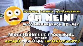Aktobis - professioneller Luftentfeuchter WDH-725DG