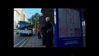 Access All Areas - Accessible Transport