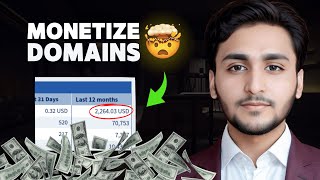 How to Monetize Your Domains - Earning from Parked Domains