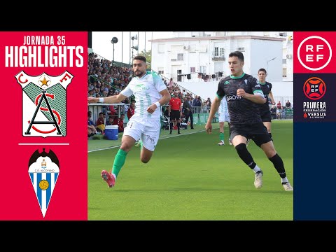 bg-highlight