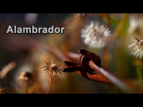 263 Alambrador (San Luis) - Ranches and Traditions