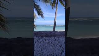 Download lagu story wa di pantai mp3