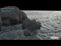 Houdini FX Reel 2017