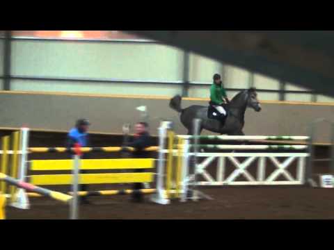 Sportpferde Matthias Keil - Chwupdiwup