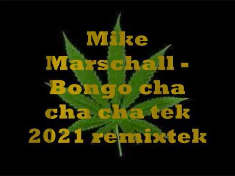 Mike Marschall- Bongo cha cha cha Tek 2021 (remixtek)