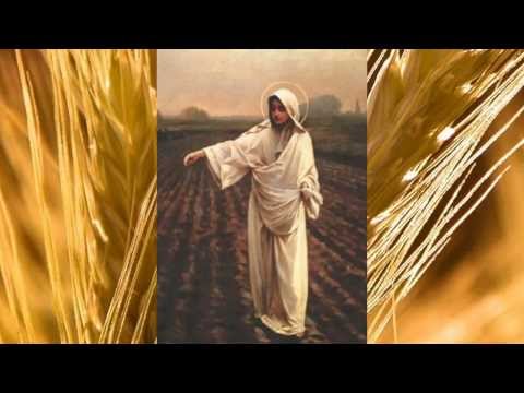 OdNowa - Pachnąca zbożem