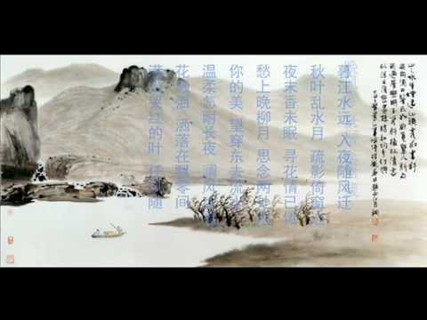 【Luo Tianyi 洛天依】 Moon of the West River 【月·西江】