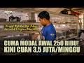 Modal 250 Ribu Peternak Muda Raup Cuan Jutaan Dari Kelinci Pedaging