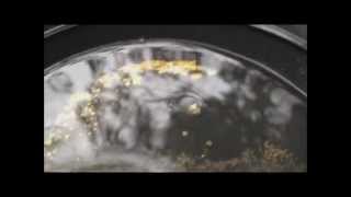 Gold vs Pyrite - Telling The Difference in The Field