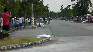 sk invitational 2010