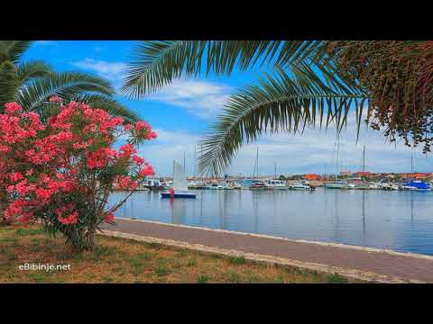 Apartment Marija 1 - Bibinje - Croatia