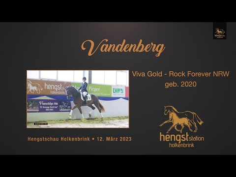 Vandenberg *2020 - Präsentation unter dem Sattel