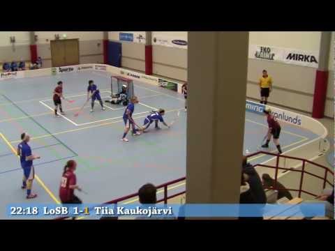 130223 Blue Fox   LoSB