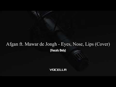Afgan ft. Mawar de Jongh - Eyes, Nose, Lips (Cover) (Acapella/Vocals Only)