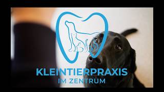 Kleintierpraxis im Zentrum - Mit Herz und Verstand für' s Heimtier