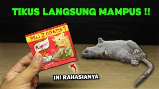 Download lagu Tikus langsung MAMPUS !! Buat racun tikus paling ampuh mp3