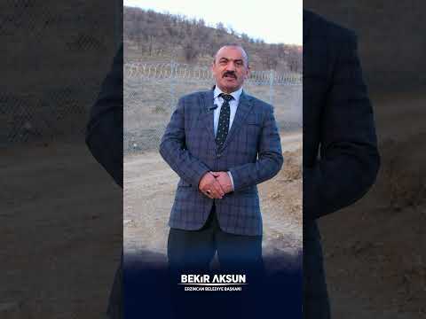 Sokak hayvanları için doğal yaşam alanı projesi hayata geçiyor. 08.03.2024