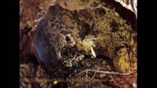 Deinonychus: TEARS WILL FLOW