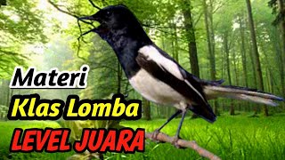 Download lagu Terapi Utama Kacer – Suara Sungai Alami & Energi Pencarian Ikan mp3 Download lagu Terapi Utama Kacer – Suara Sungai Alami & Energi Pencarian Ikan mp3