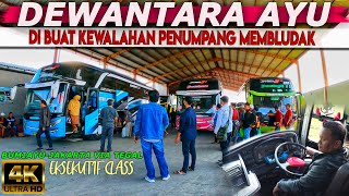 Download lagu BUS PENDATANG BARU YANG LAGI NAIK DAUN LANGSUNG MEMIKAT HATI PARA PENUMPANG ❗❗TRIP DEWANTARA AYU mp3 Download lagu BUS PENDATANG BARU YANG LAGI NAIK DAUN LANGSUNG MEMIKAT HATI PARA PENUMPANG ❗❗TRIP DEWANTARA AYU mp3