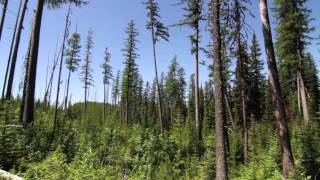 Trip video of Quartz Lake Loop