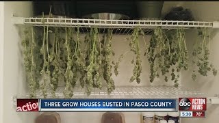 Grow house busted after teen goes to school smelling of pot