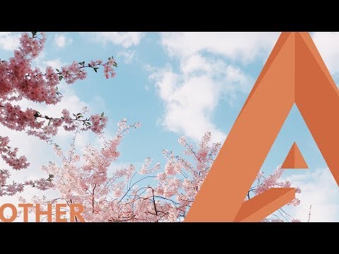 Manse & Stasius - Collateral